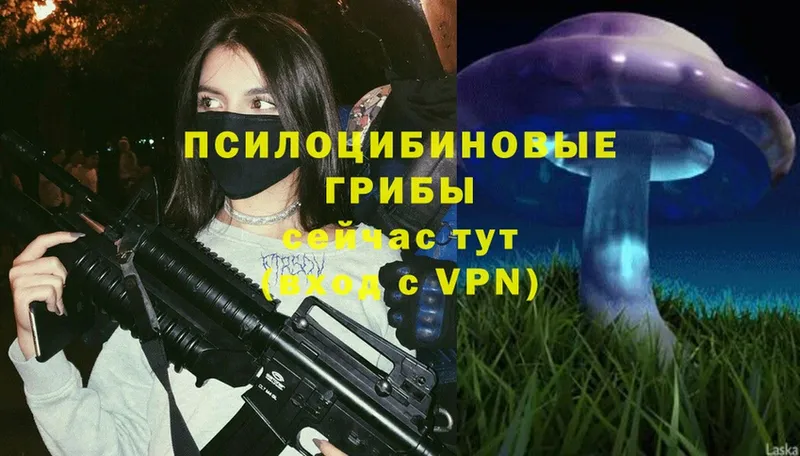 Псилоцибиновые грибы Magic Shrooms  Кулебаки 